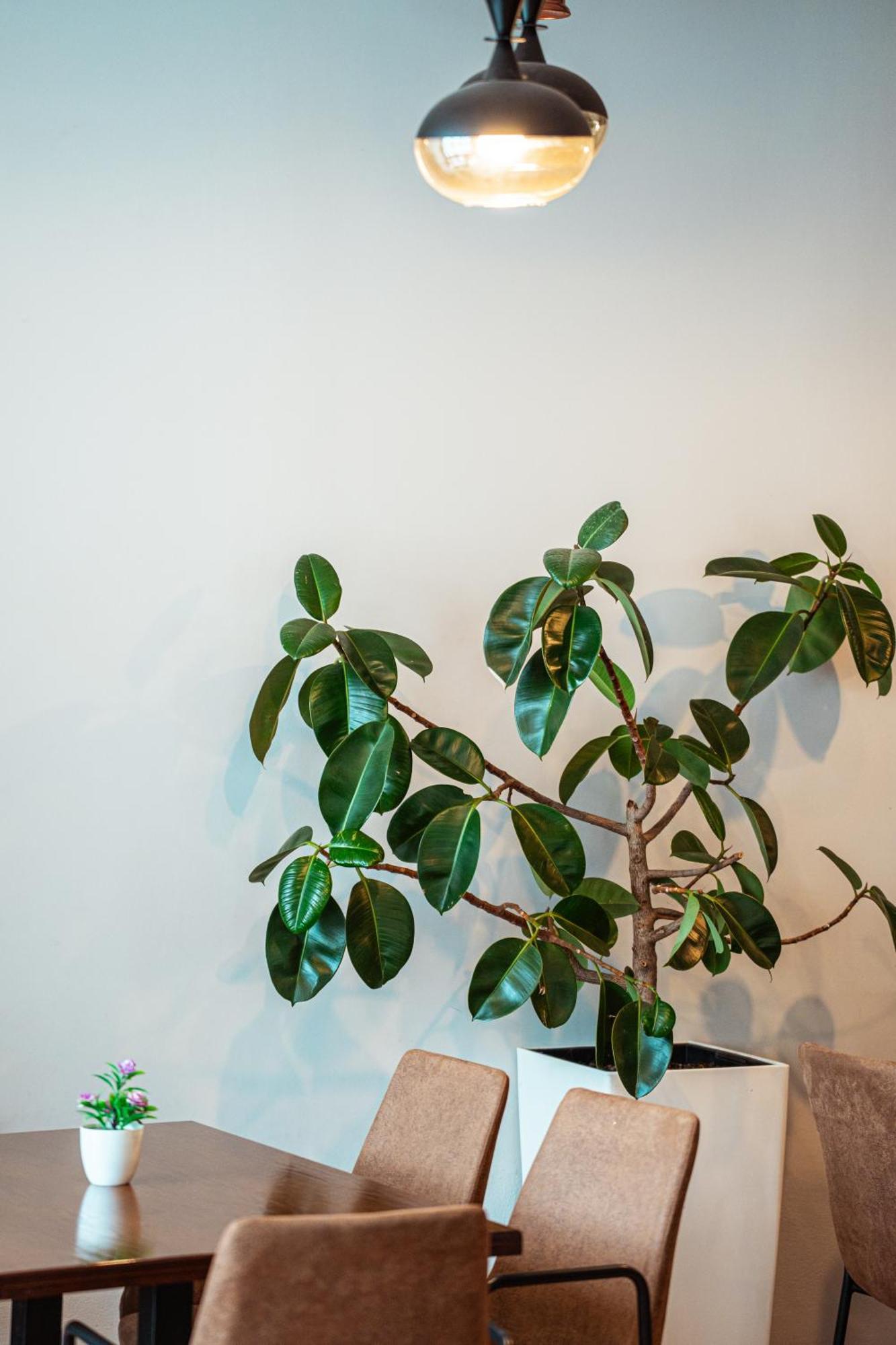 Hotel Blini Shkoder Ngoại thất bức ảnh